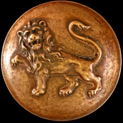 Lion Walking