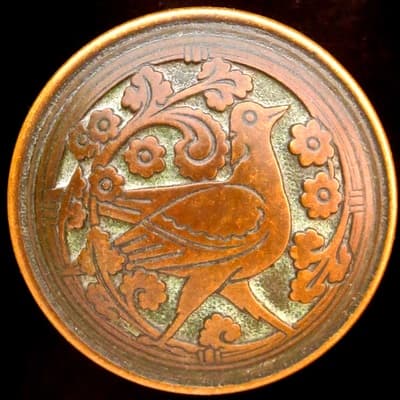 Pigeon