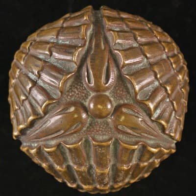 Three Seashells