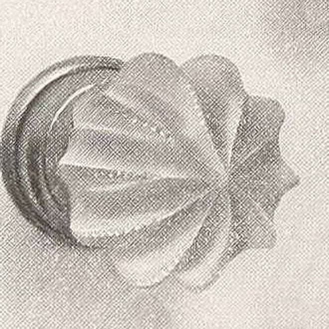 R-11800