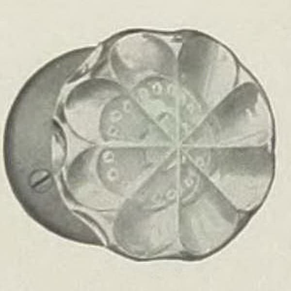 R-25020