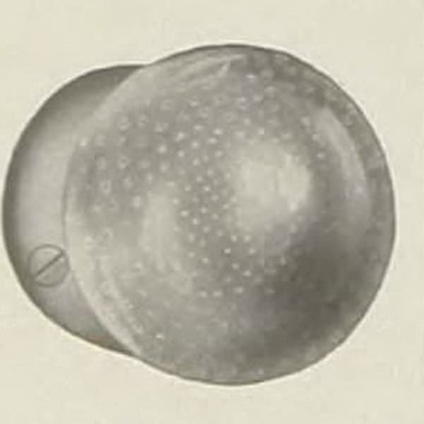 R-41100
Penn1915 386