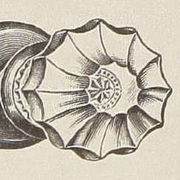 R-68000